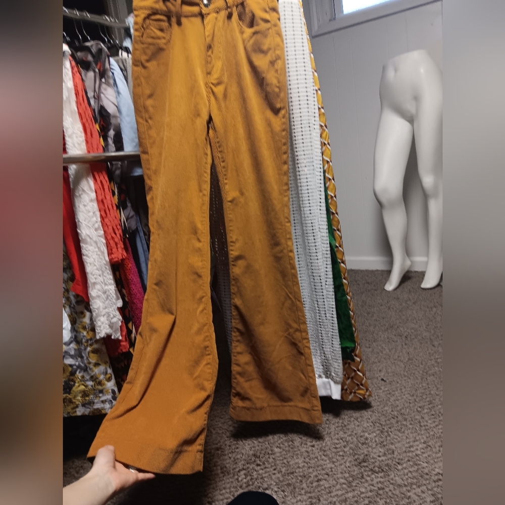 Crazy Train Mustard Flare Jeans